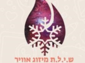 כפיר בוחבוט - ספק